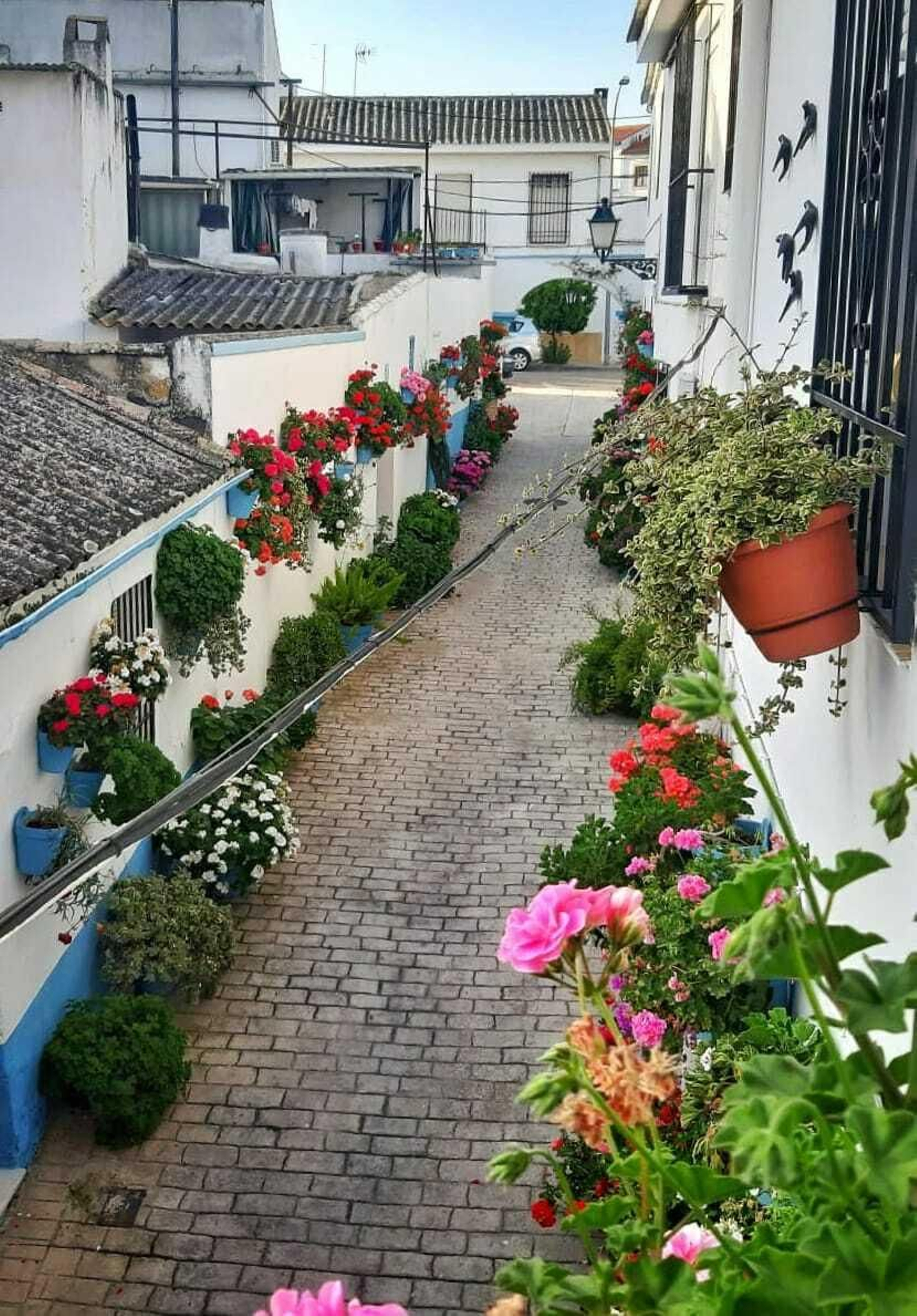 Coronavirus en Córdoba: Los municipios también se vacían