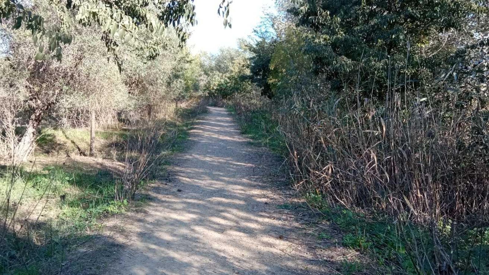 Las imágenes del Tramo I de la Ruta del Río Pudio Las imágenes del Tramo I de la Ruta del Río Pudio