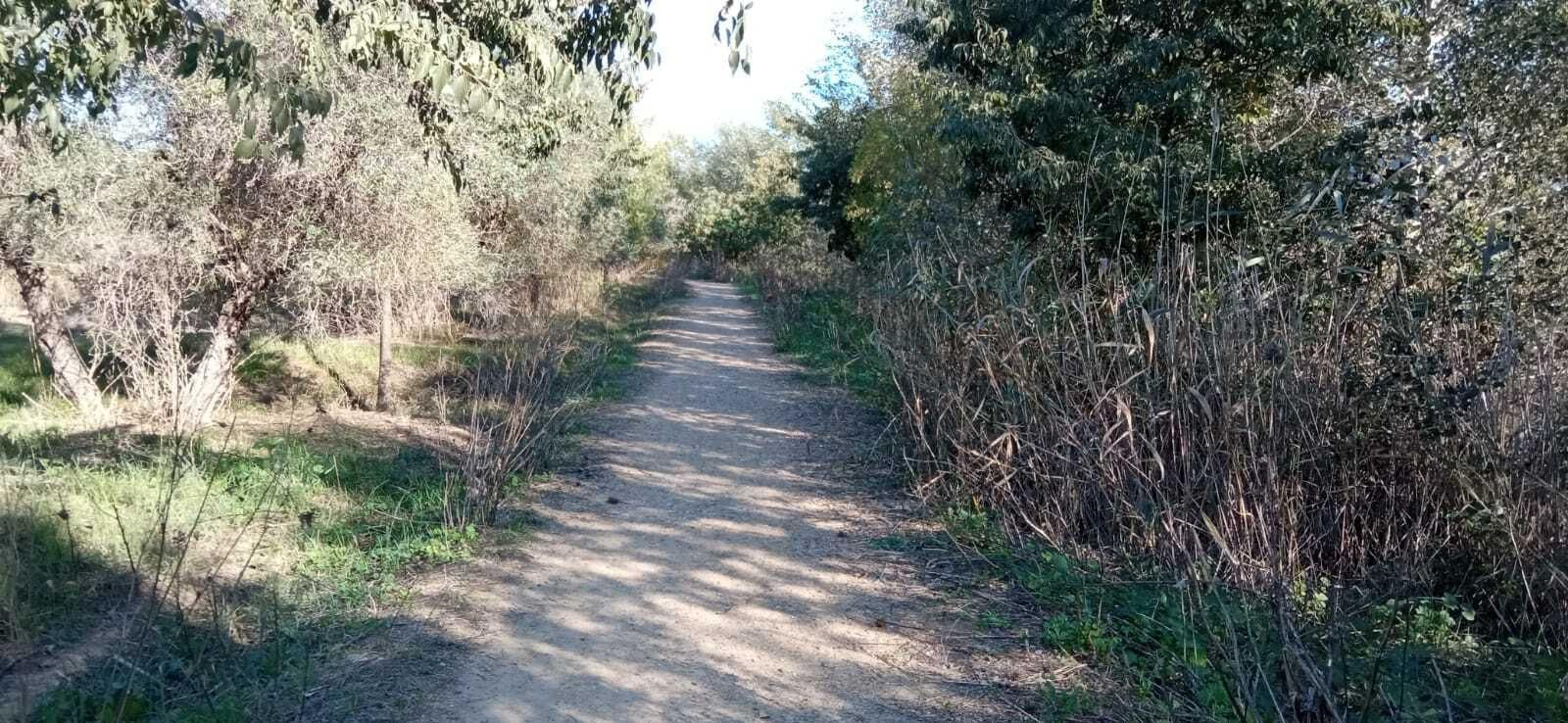 Las imágenes del Tramo I de la Ruta del Río Pudio