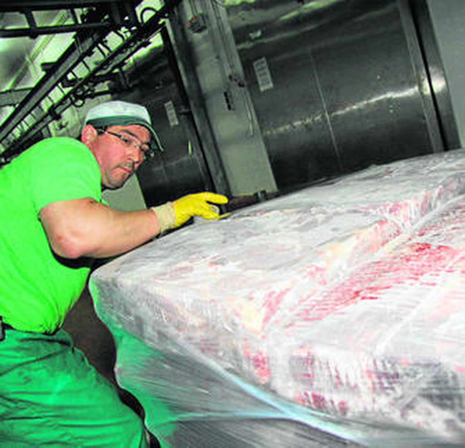 Carne de caballo empaquetada para su comercialización.