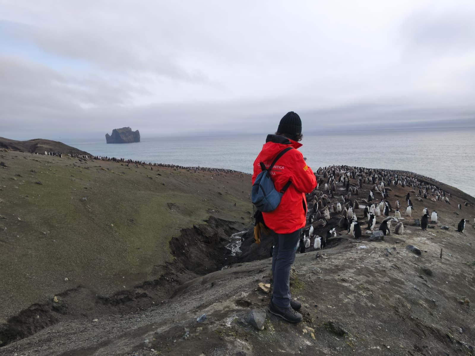 Investigadores de la Universidad de Jaén (UJA) en la Antártida.