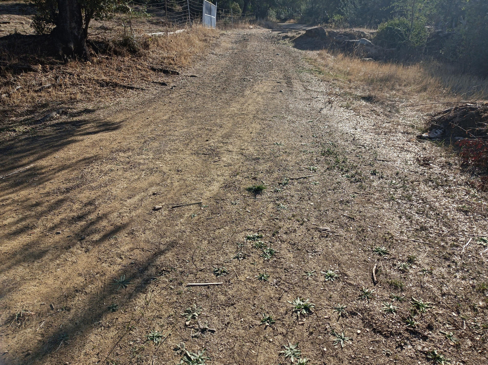La pista se ensancha por este tramo.