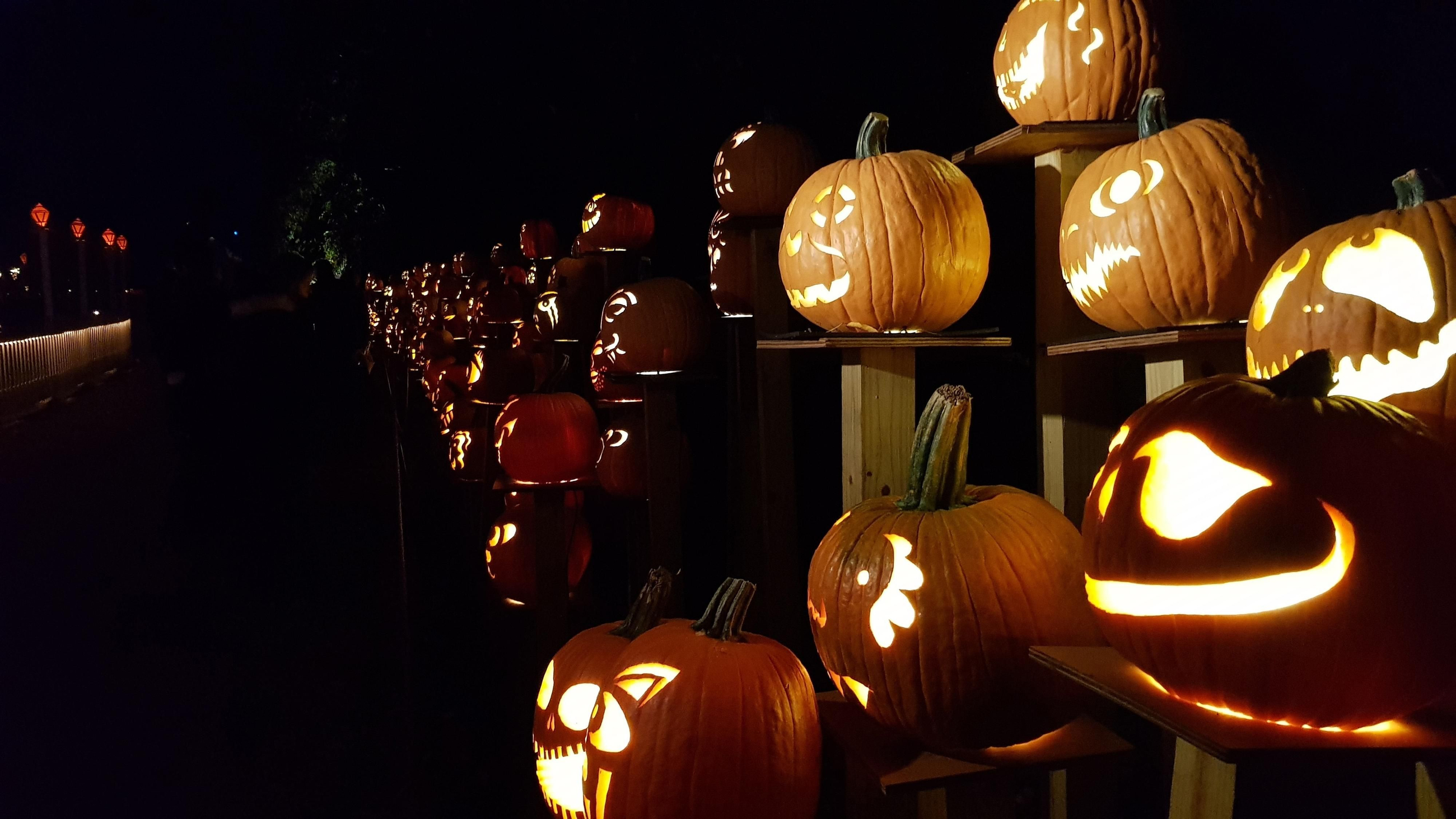 Qué hacer en Sevilla para pasar un Halloween terrorífico: propuestas únicas en la ciudad durante el mes de octubre