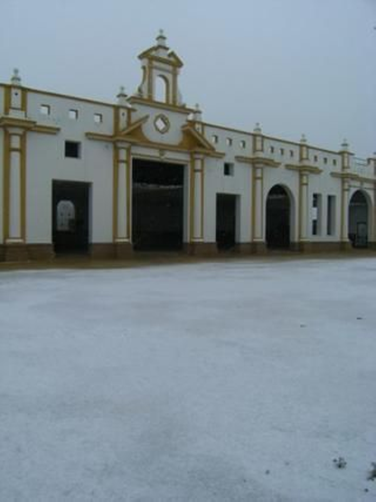 Nieve en Albaida del Aljarafe./ José Ramón Rodríguez