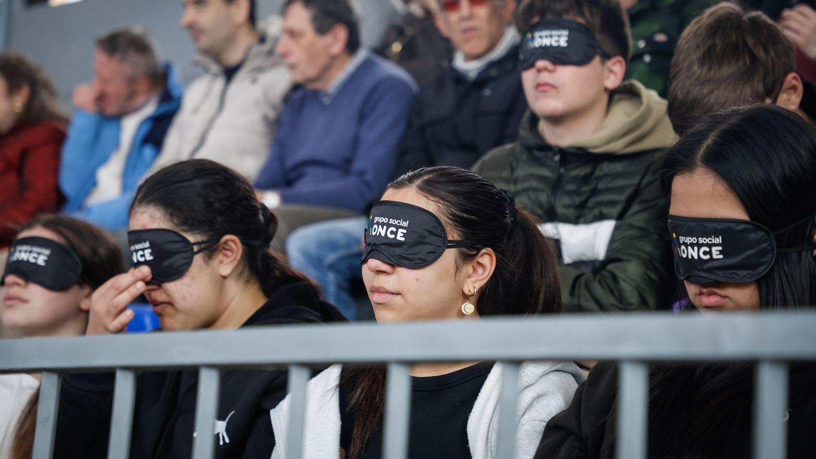 La Fundación ONCE del Perro Guía (FOPG) realizó este martes en Armilla una exhibición con estos animales