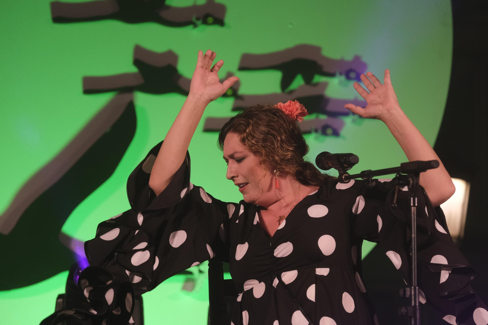 Estrella Morente en concierto.