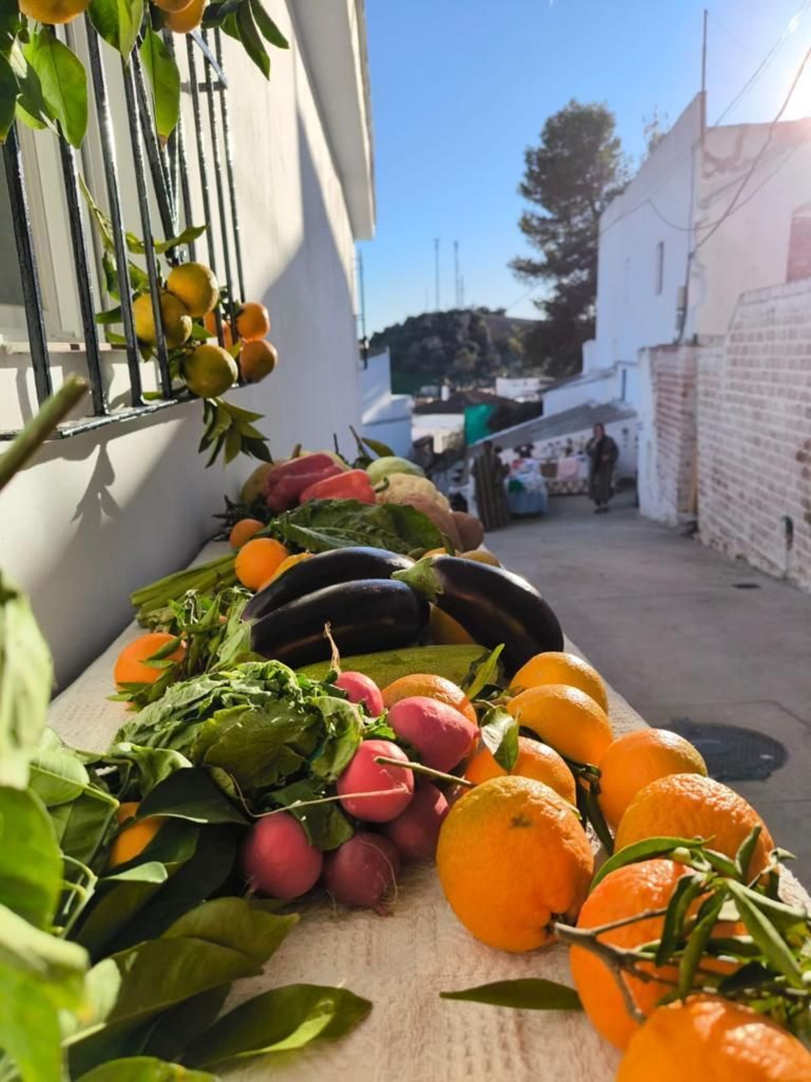 Las imágenes del belén viviente de Espera