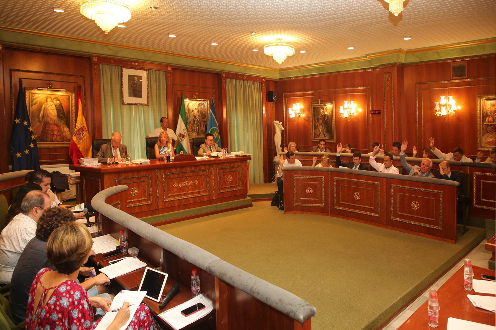 Un momento del pleno celebrado ayer en Marbella.