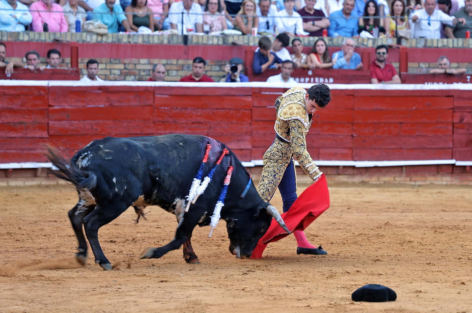 Toros La Merced 2025: Imágenes de la Novillada de Javier Zulueta, Cristian González y Carlos Tirado