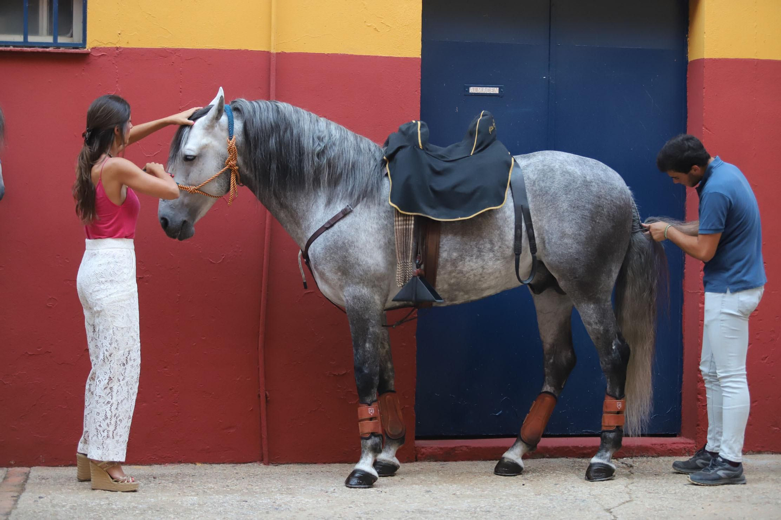 Imágenes de la clase de rejoneo de Andrés Romero en la Plaza de Toros
