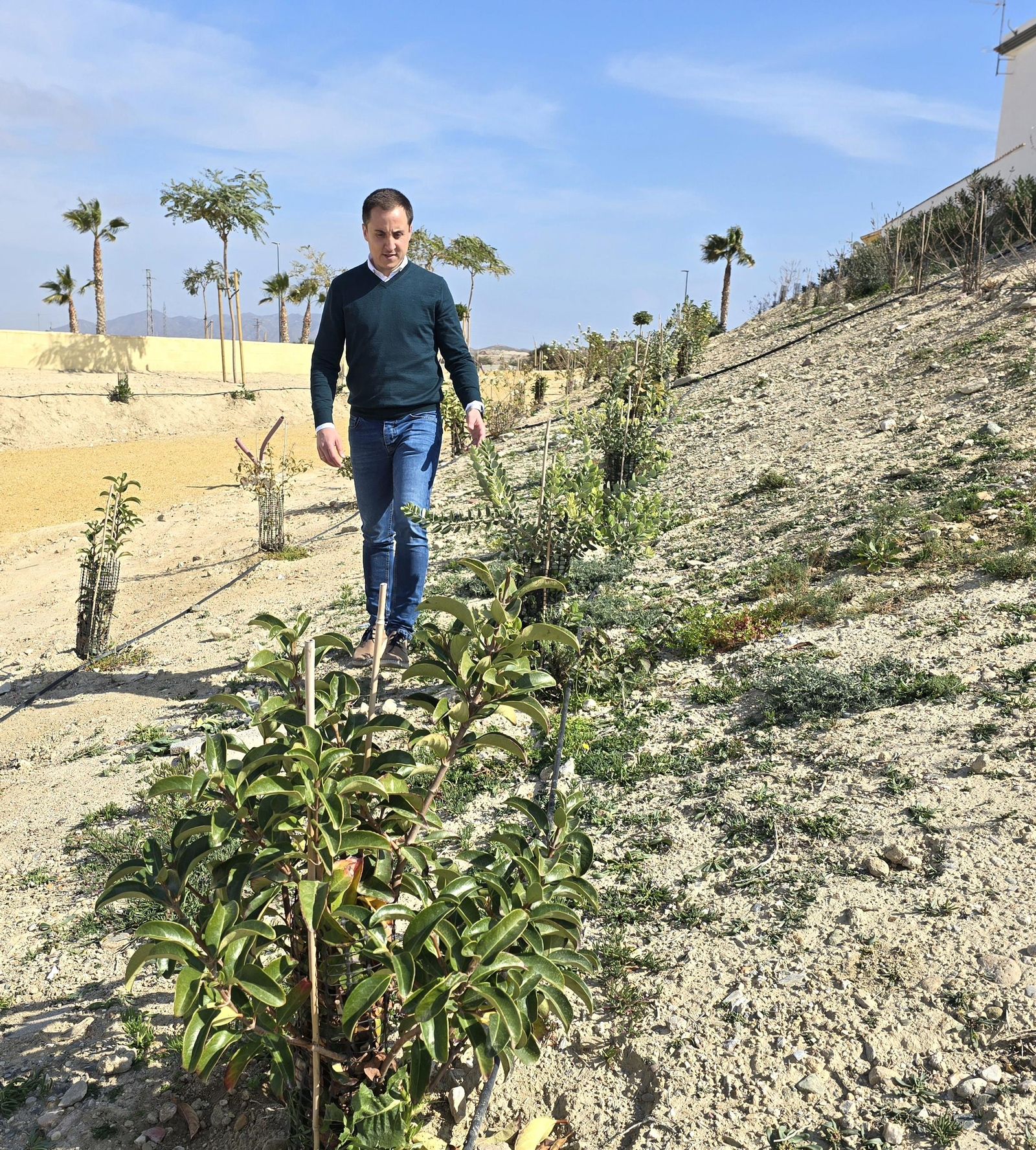 El alcalde, Alfonso García, supervisa las plantaciones.