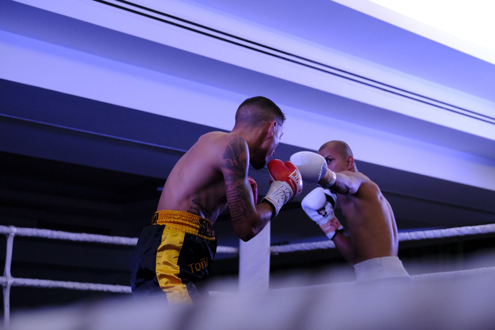 Fotogalería de la velada de boxeo Diamonds Boxing