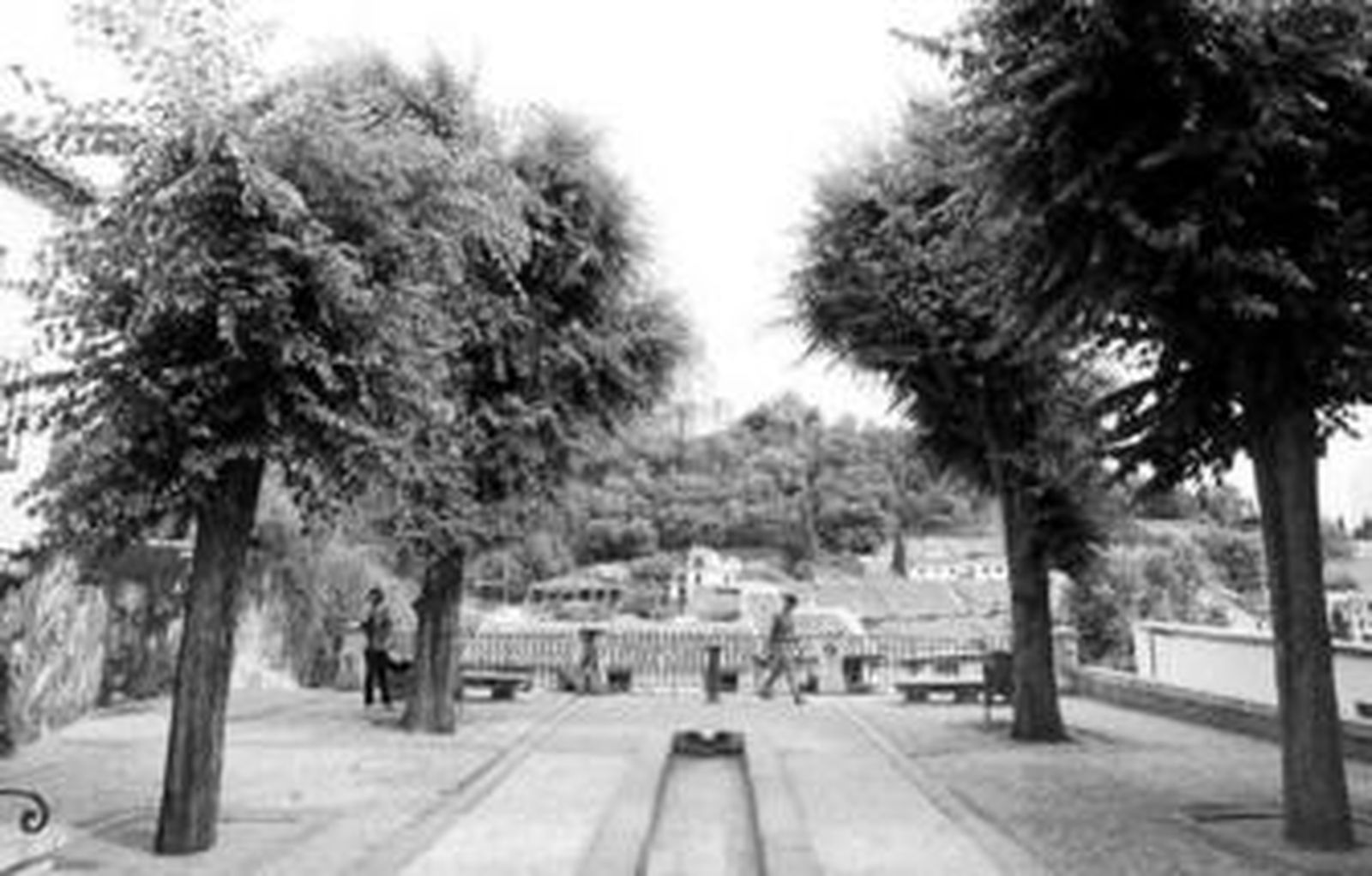 El joven se encontraba con unos amigos en la placeta de los Carvajales, en el Albaicín.