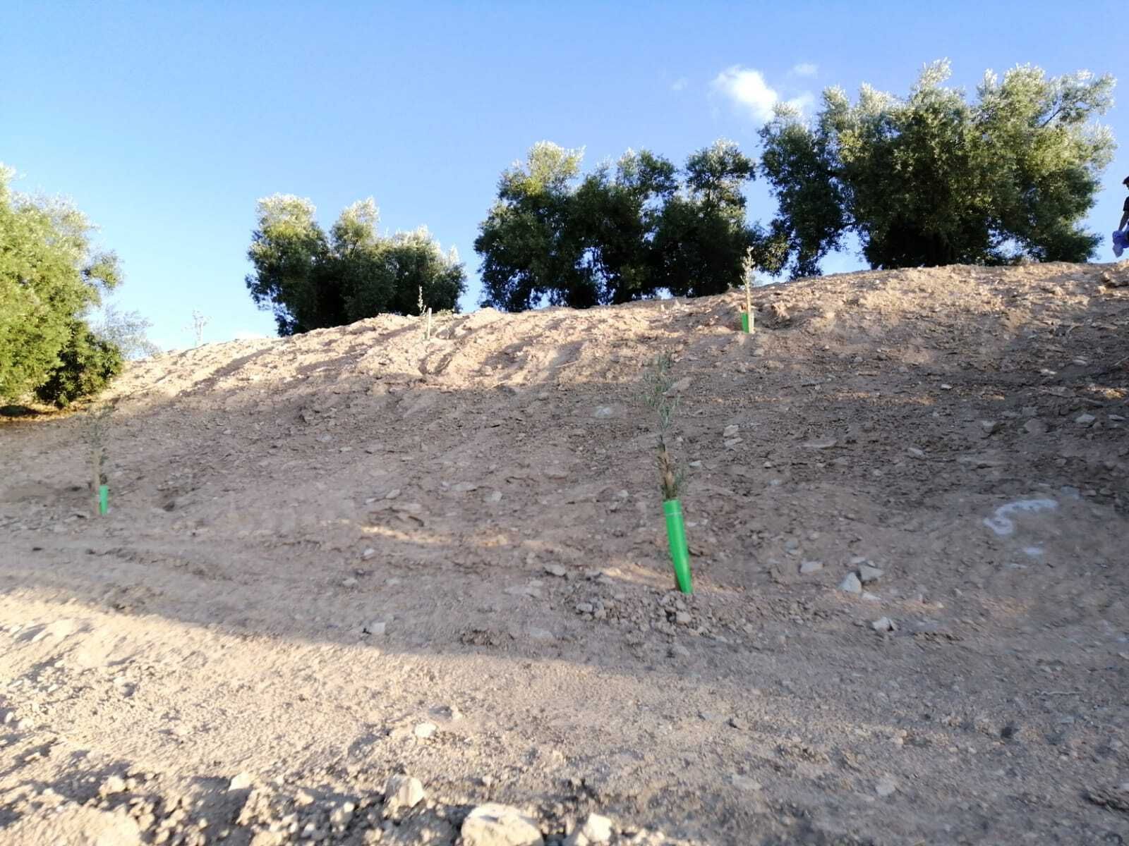 Yacimiento arqueológico de La Viñuela de Almedinilla.