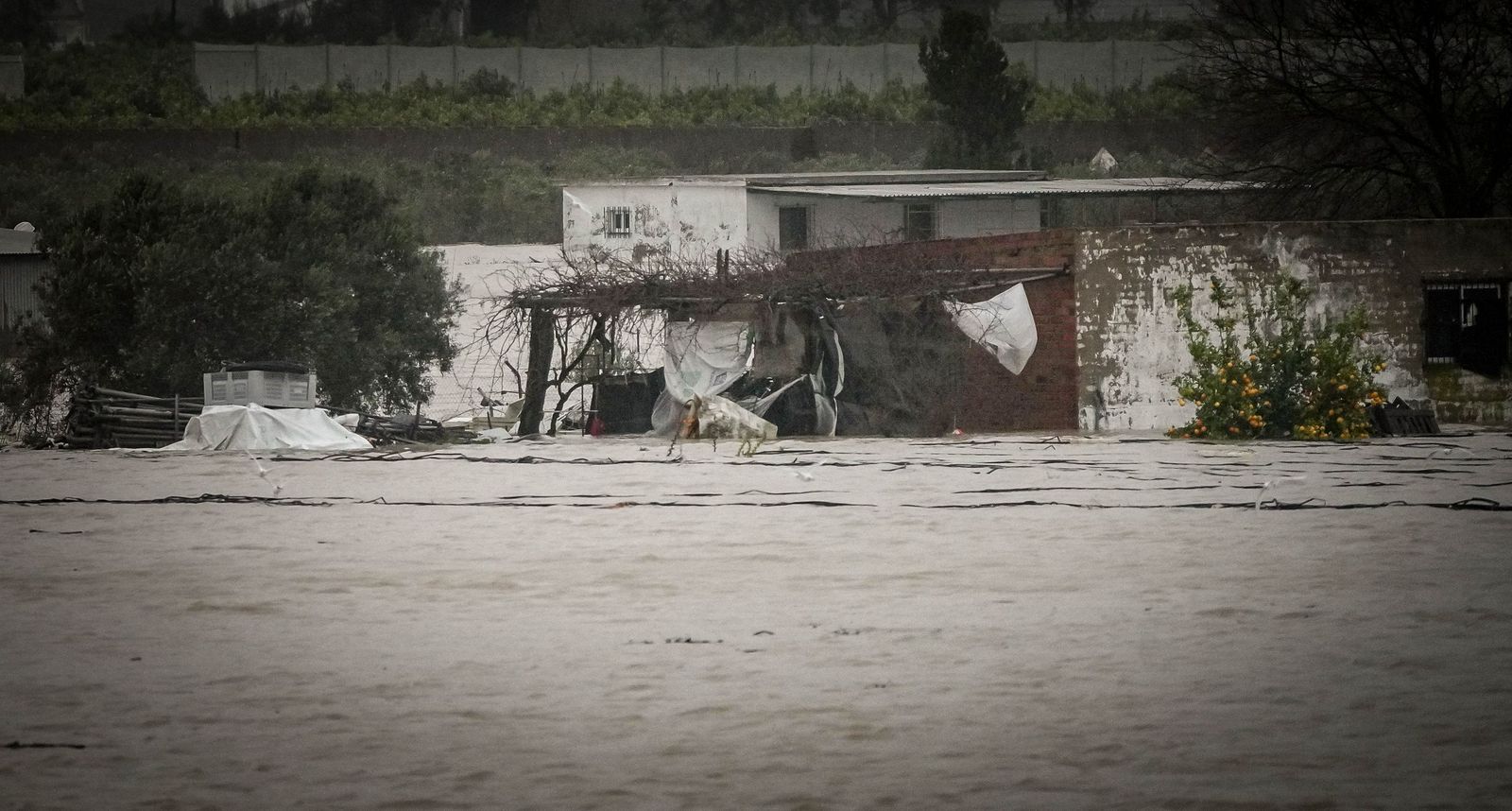 Imágenes de las graves consecuencias de la crecida del rio Guadalete en la zona rural de Jerez