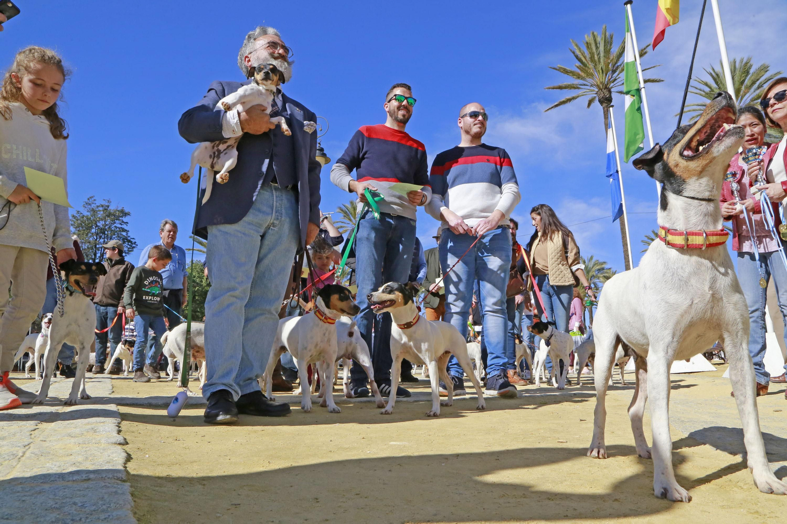 Imágenes de San Antón 2020 en Jerez