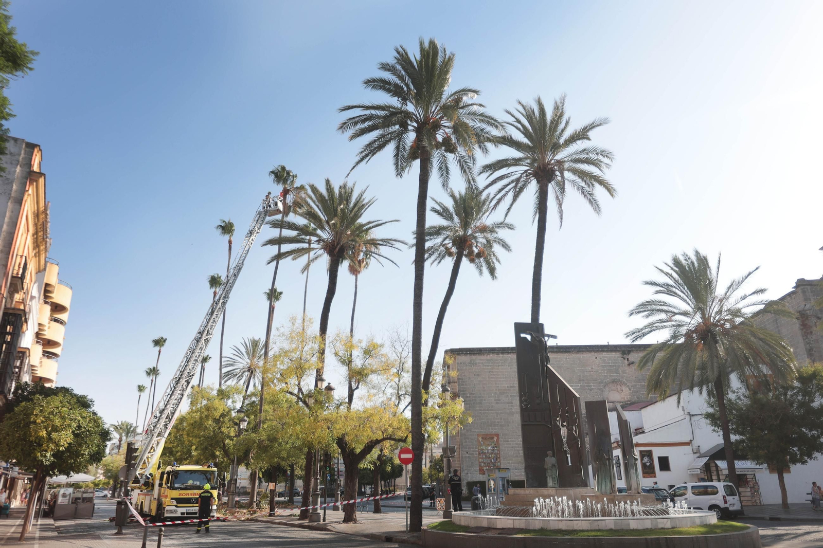Trabajos de poda de palmeras, este miércoles en la Alameda Cristina de Jerez.