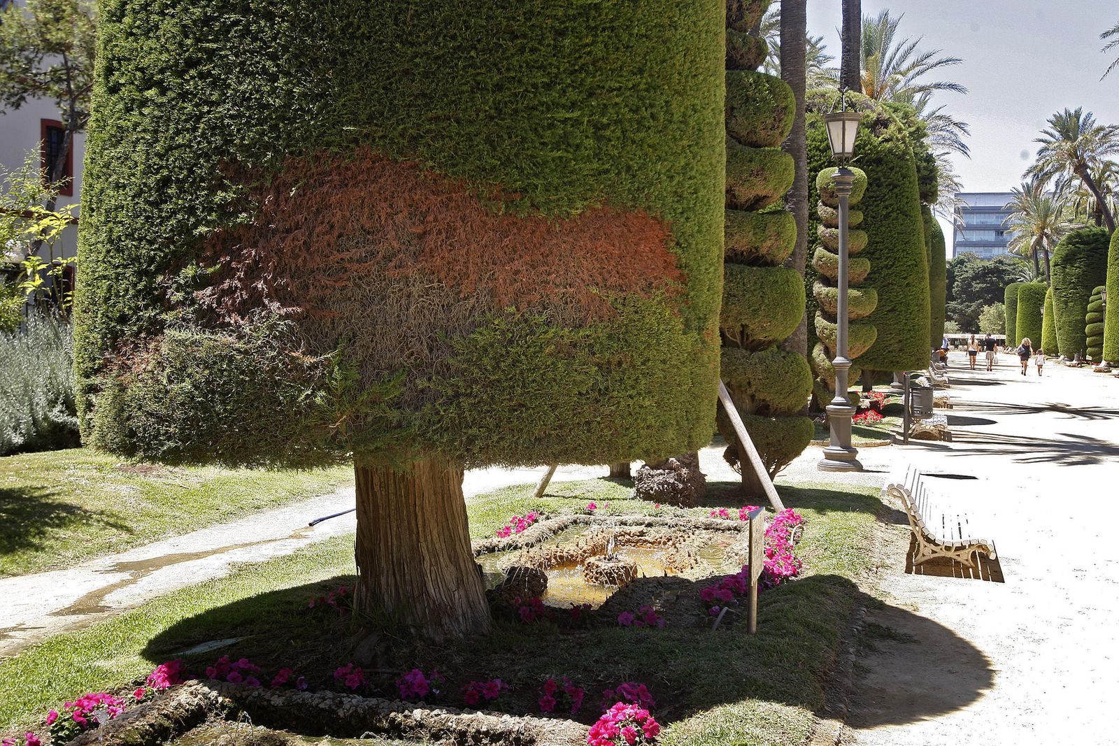 Imagen de archivo del Parque Genovés.