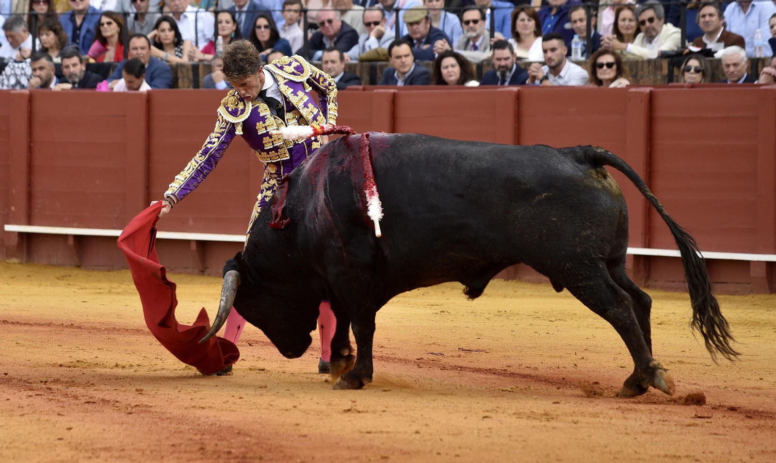 Las imágenes de la 14ª de abono de la Maestranza