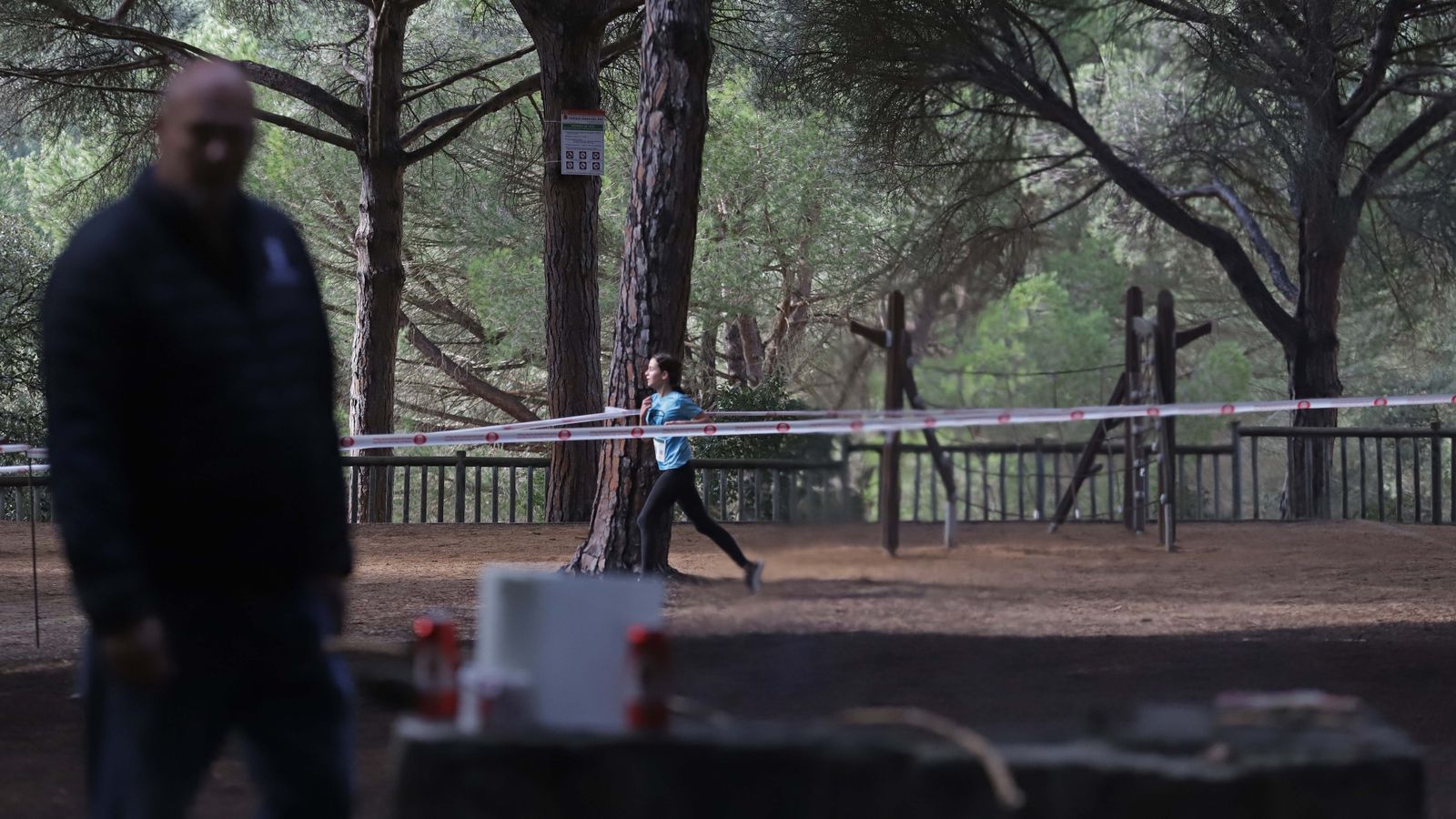 Fotos del III Cross Pinar del Rey en San Roque