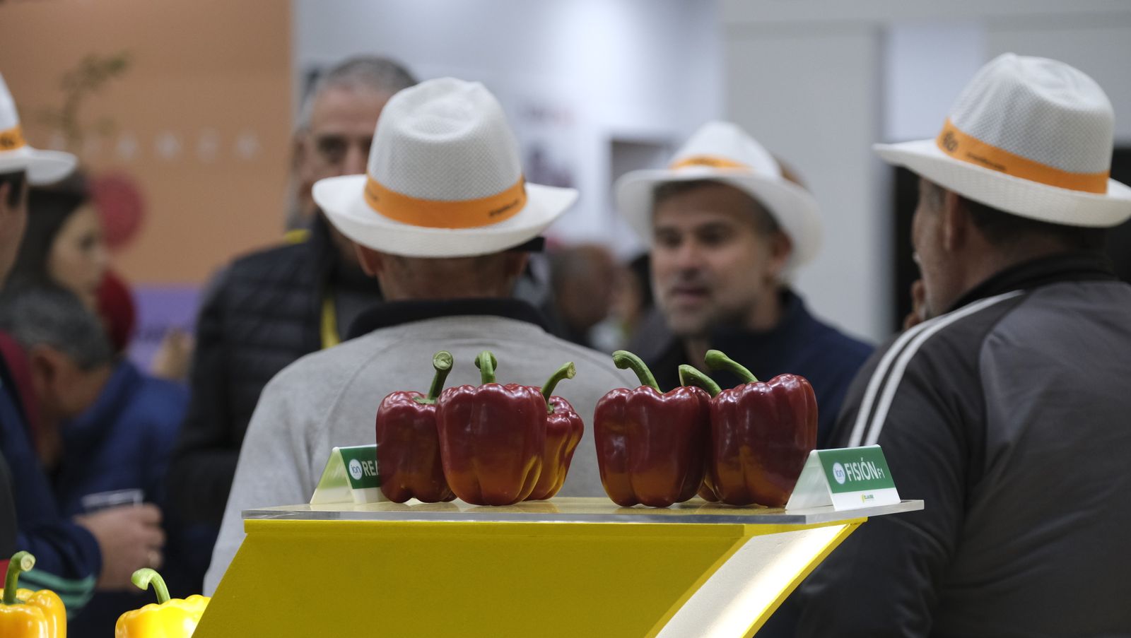 Imágenes del primer día de Expolevante Níjar.