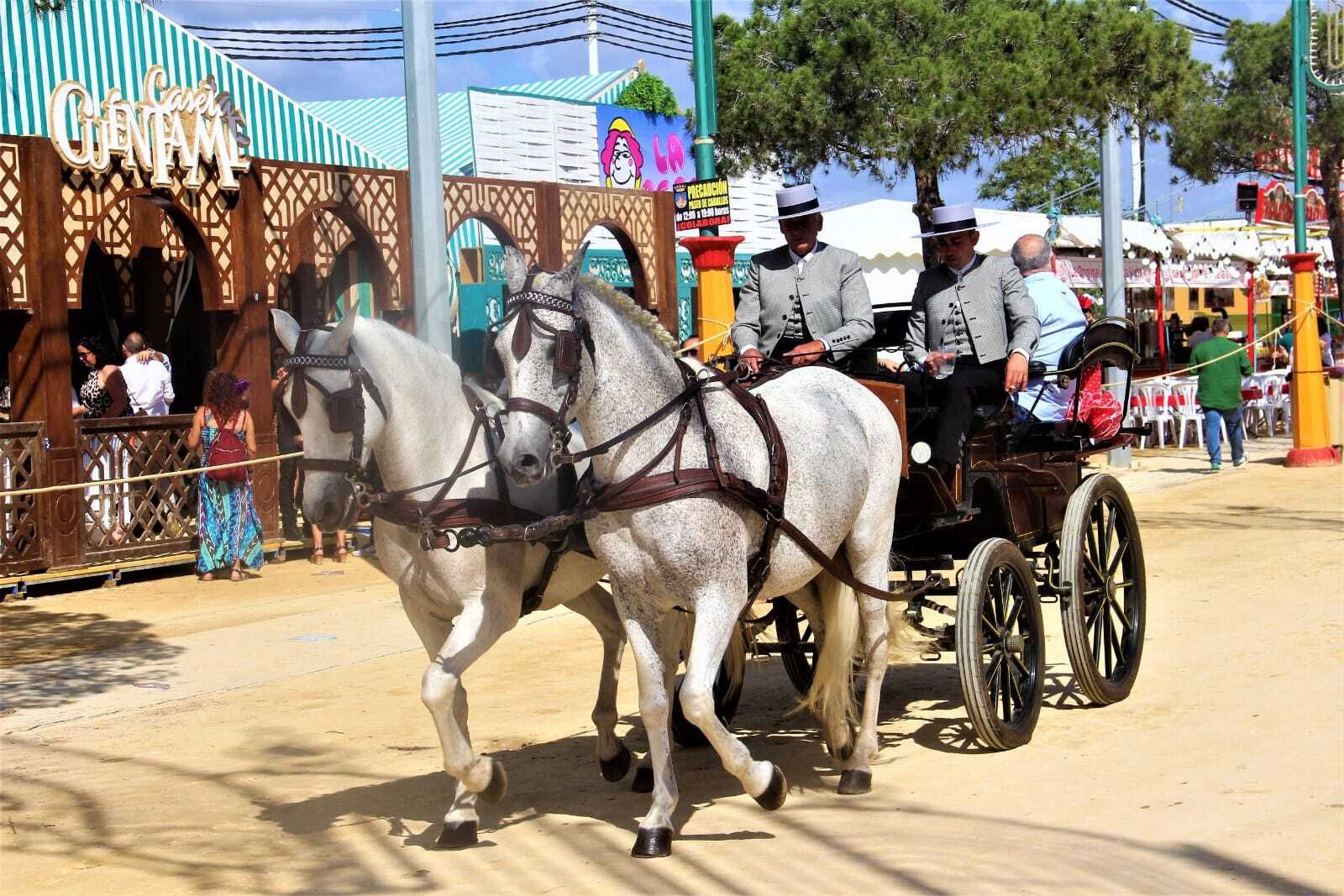 Chiclana disfruta de este sábado de Feria de San Antonio