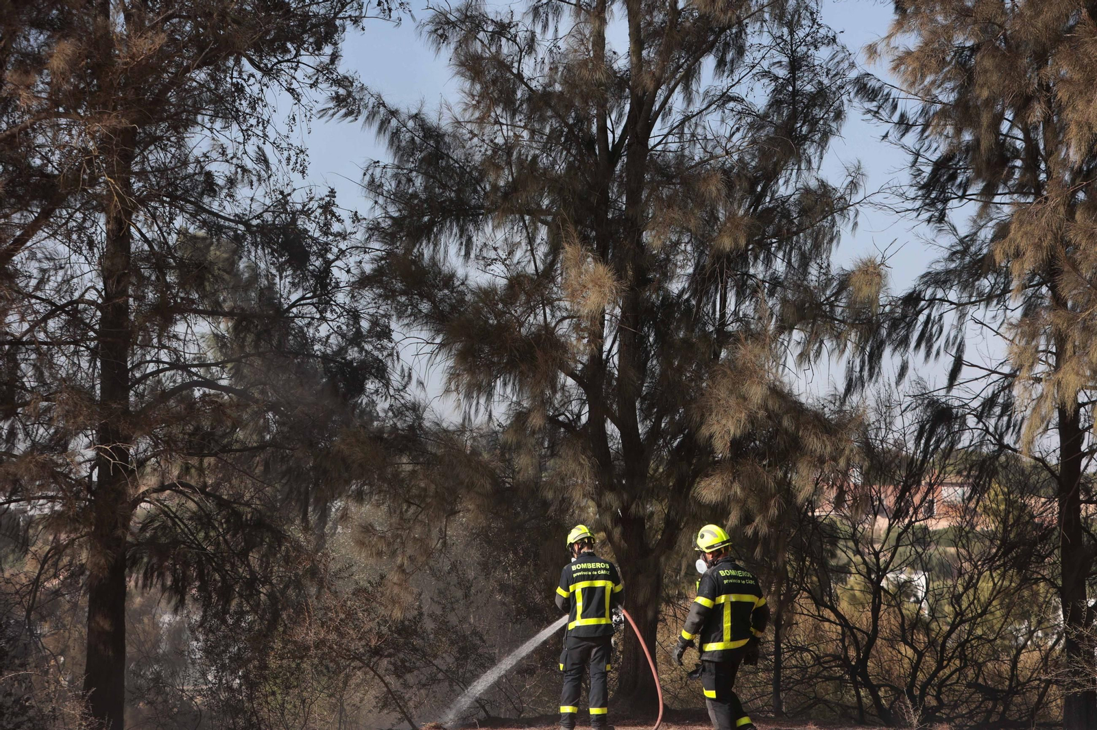 Imágenes del incendio en Montecastillo en Jerez