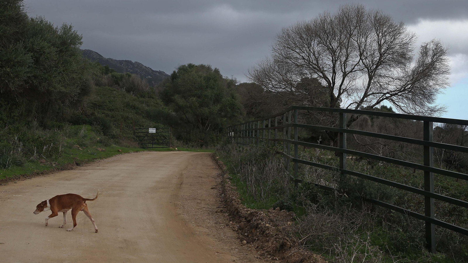 Fotos del sendero del Cerro del Tambor en Algeciras