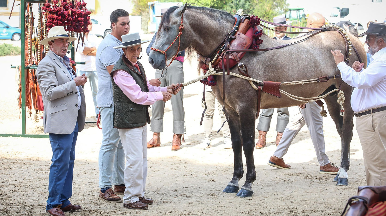 'Día Mundial del Caballo' en la Real Escuela de Jerez