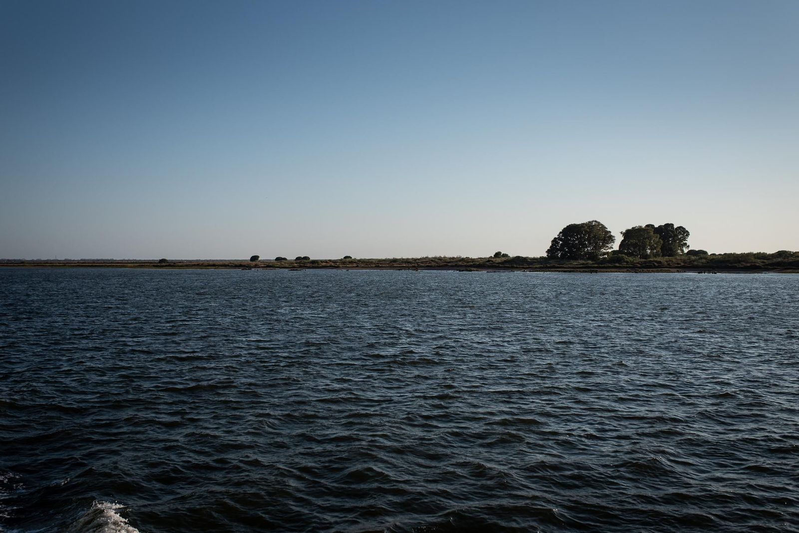 Un paseo en la Canoa de Punta Umbría en imágenes