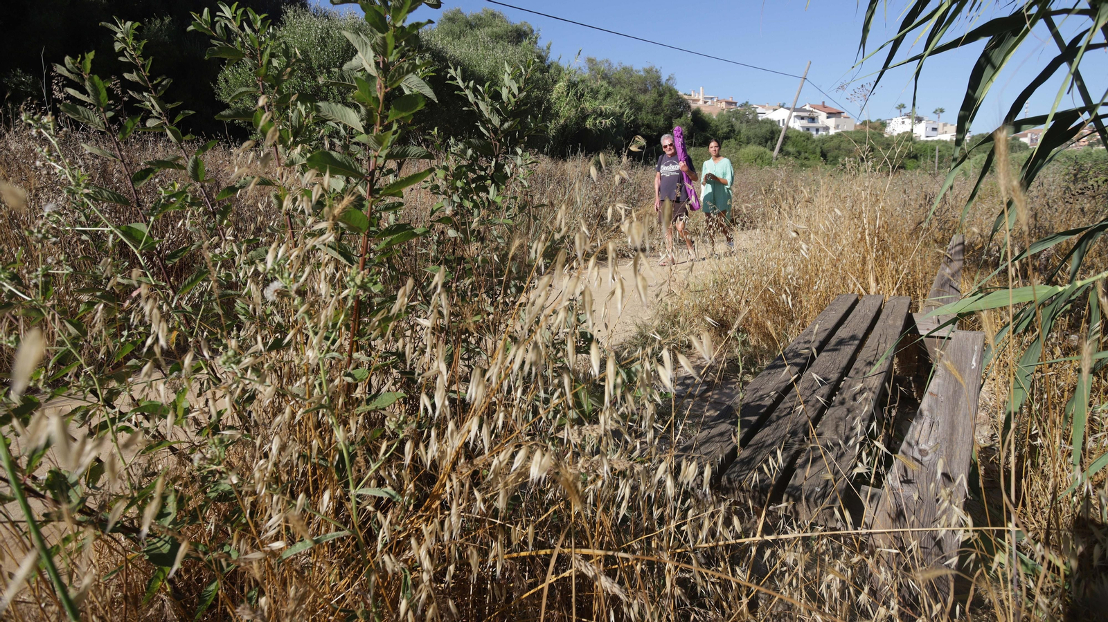 Fotos de los desperfectos del parque del río Pícaro en Algeciras