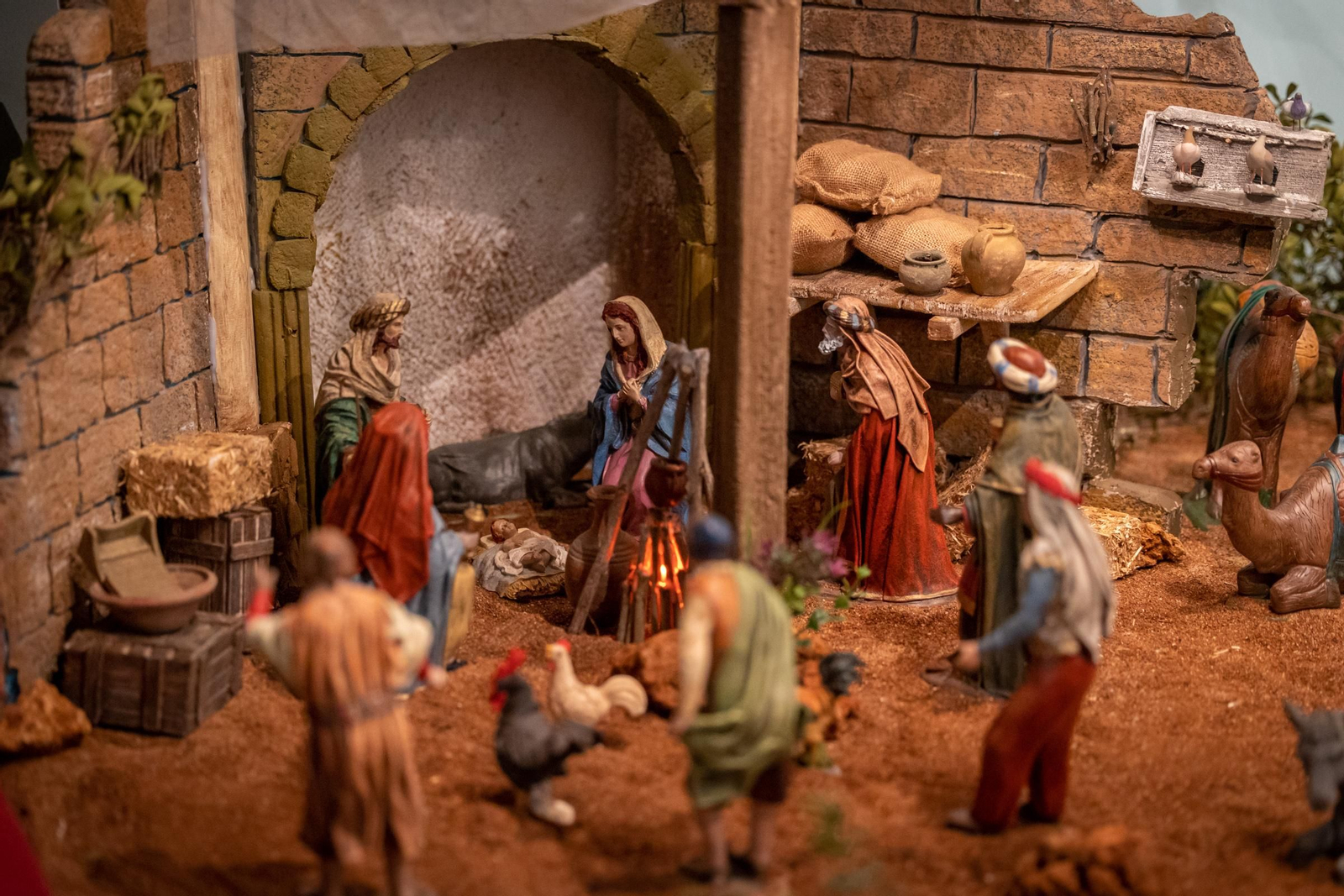 A.VV. SEGUNDA AGUADA Lugar. Avda. Segunda Aguada, 1 Horario: Laborables 10.00 h. a 14.00 h. / 18.00 h. a 21.00 h  Festivos: 10.00 h. a 14.00 h.