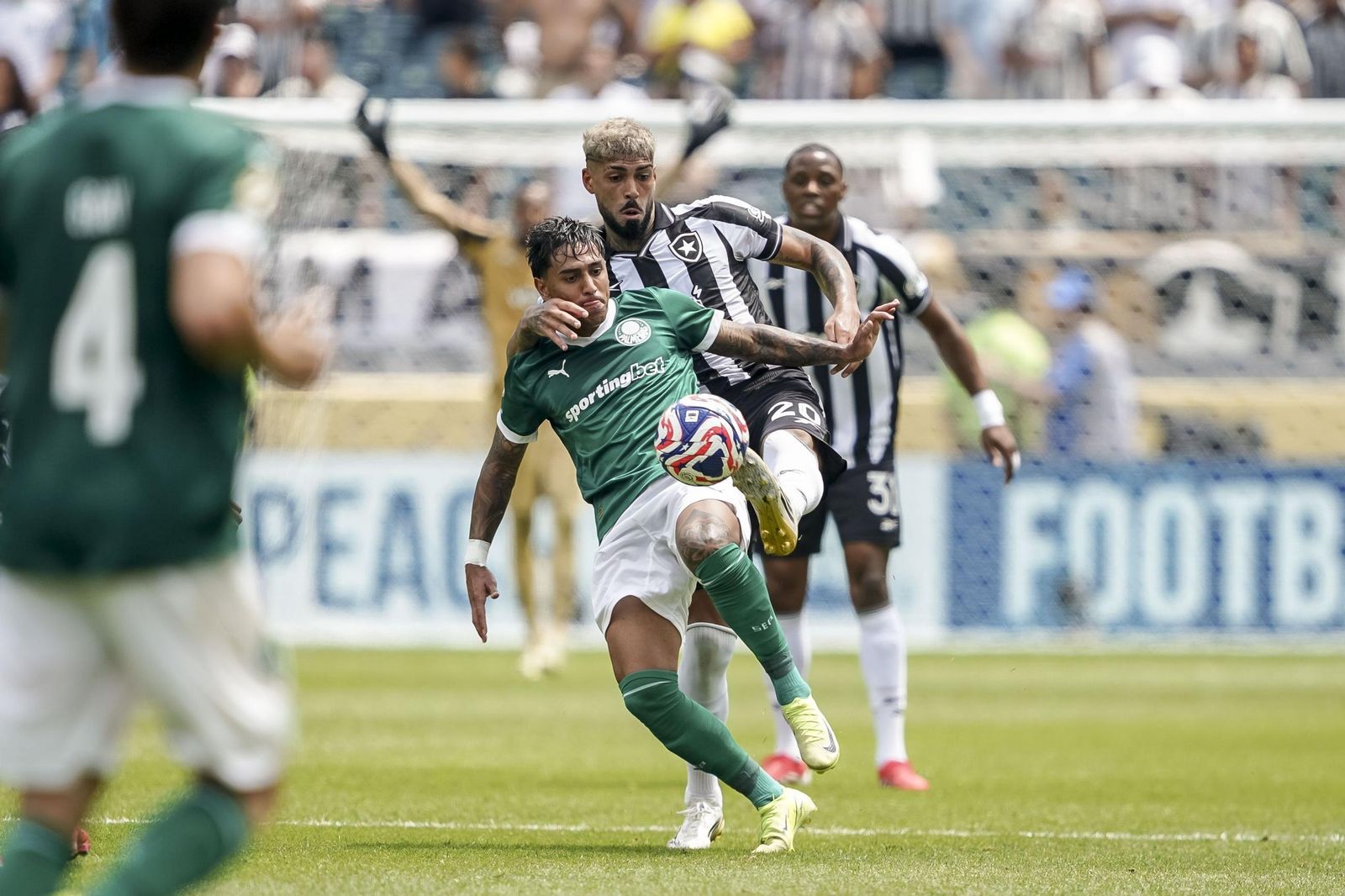 Palmeiras-Botafogo (23).jpg