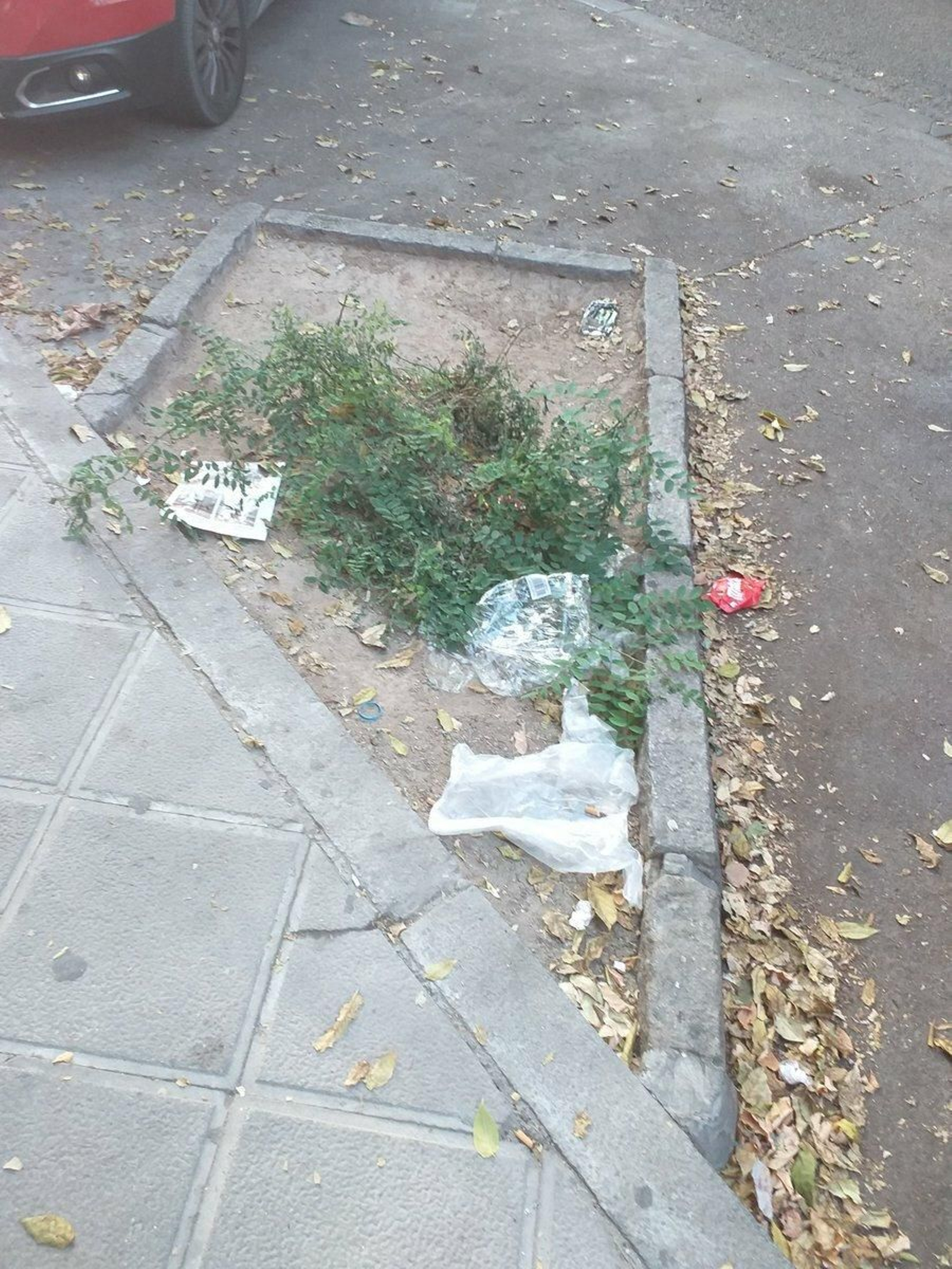 Galería de imágenes de la suciedad en distintos puntos de la ciudad.