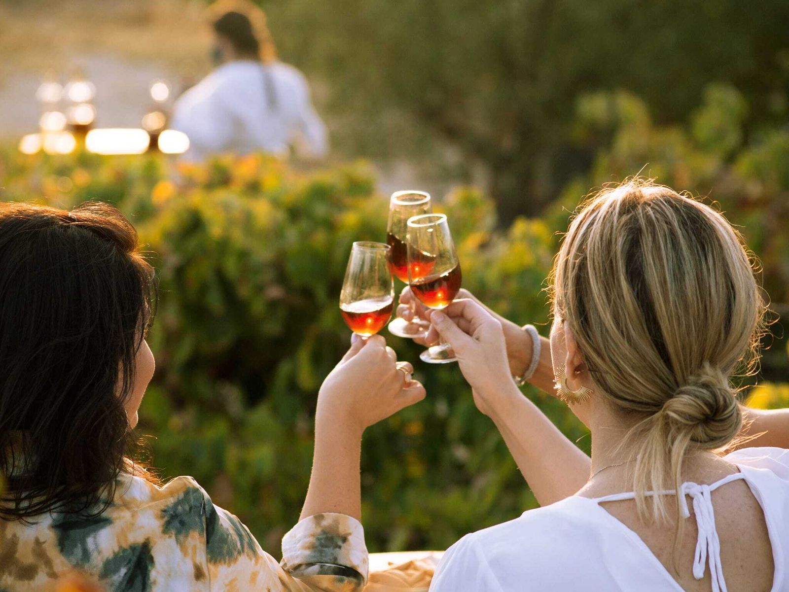 ¿Qué hacer en la mejor Ruta del Vino de España?