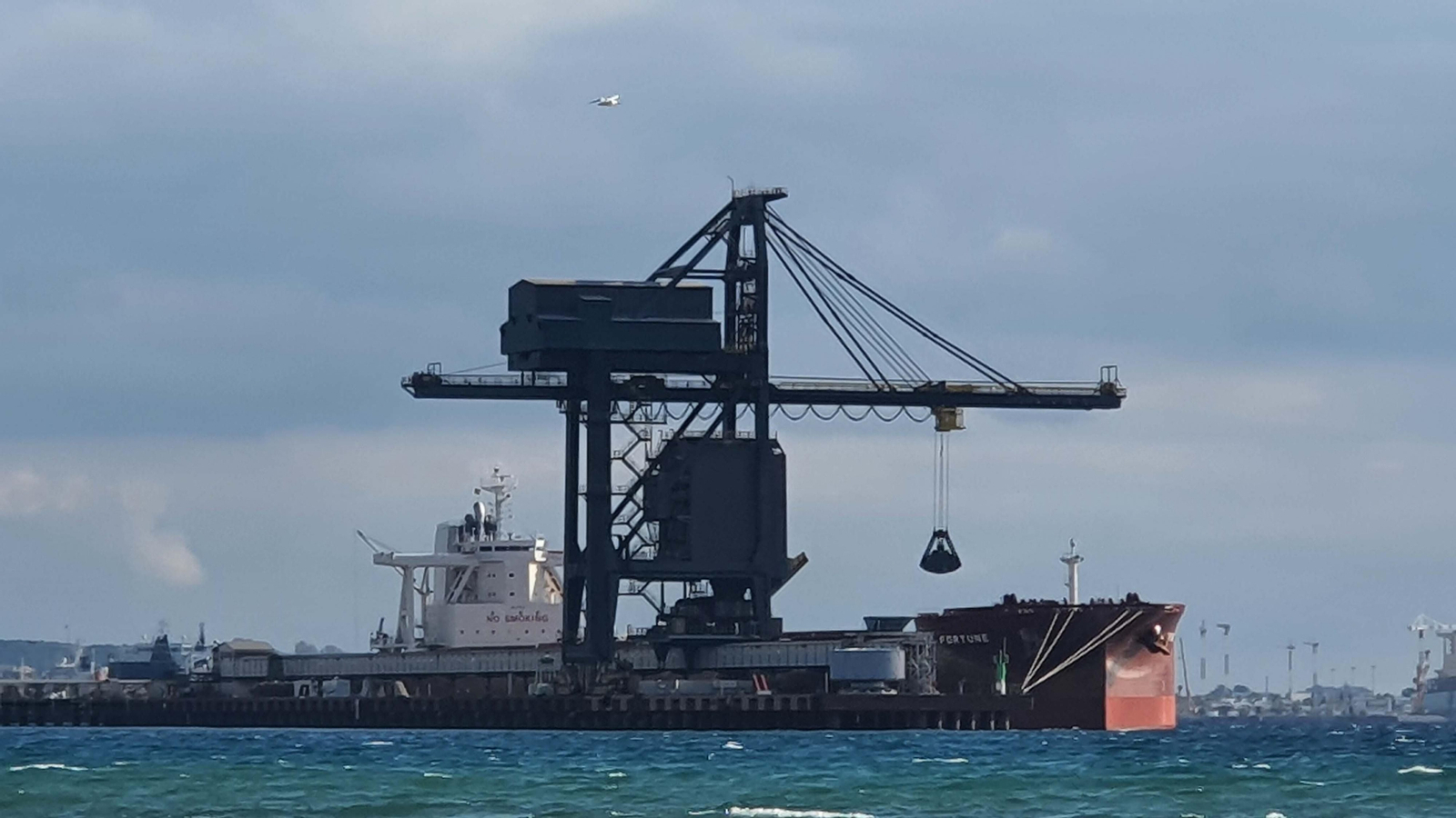 El buque 'Fortune' descarga carbón en el muelle de la central térmica de Los Barrios.