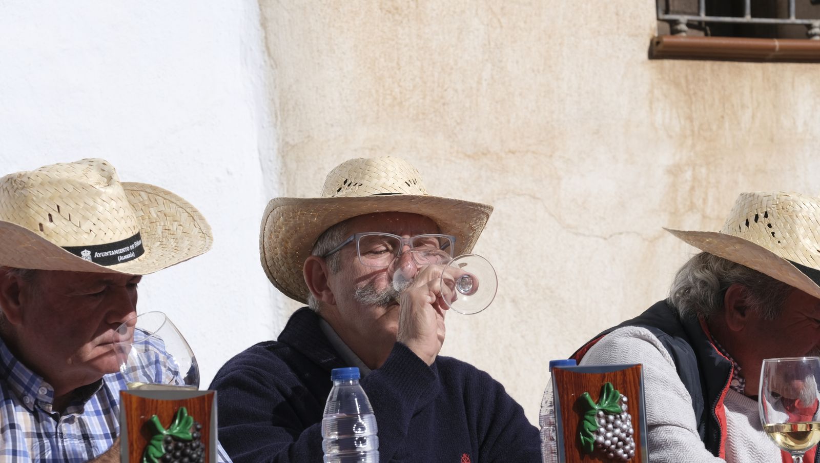 Imágenes del Certamen de Mostos de Fiñana