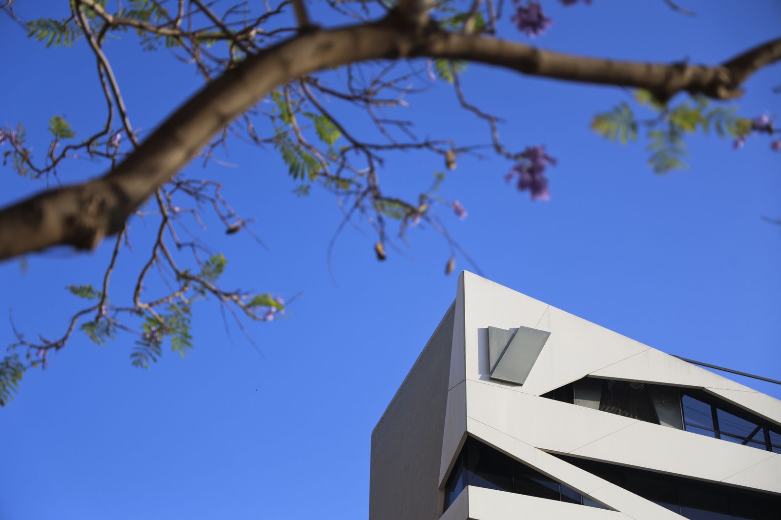 Imágenes de los 10 edificios singulares de la Málaga contemporánea