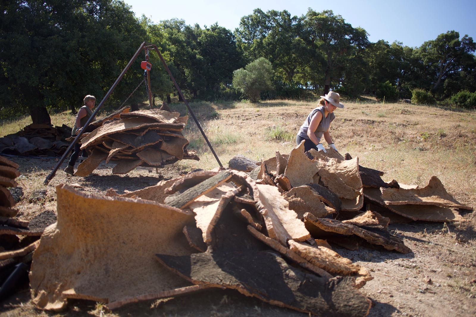 Dos trabajadoras en la saca del corcho.