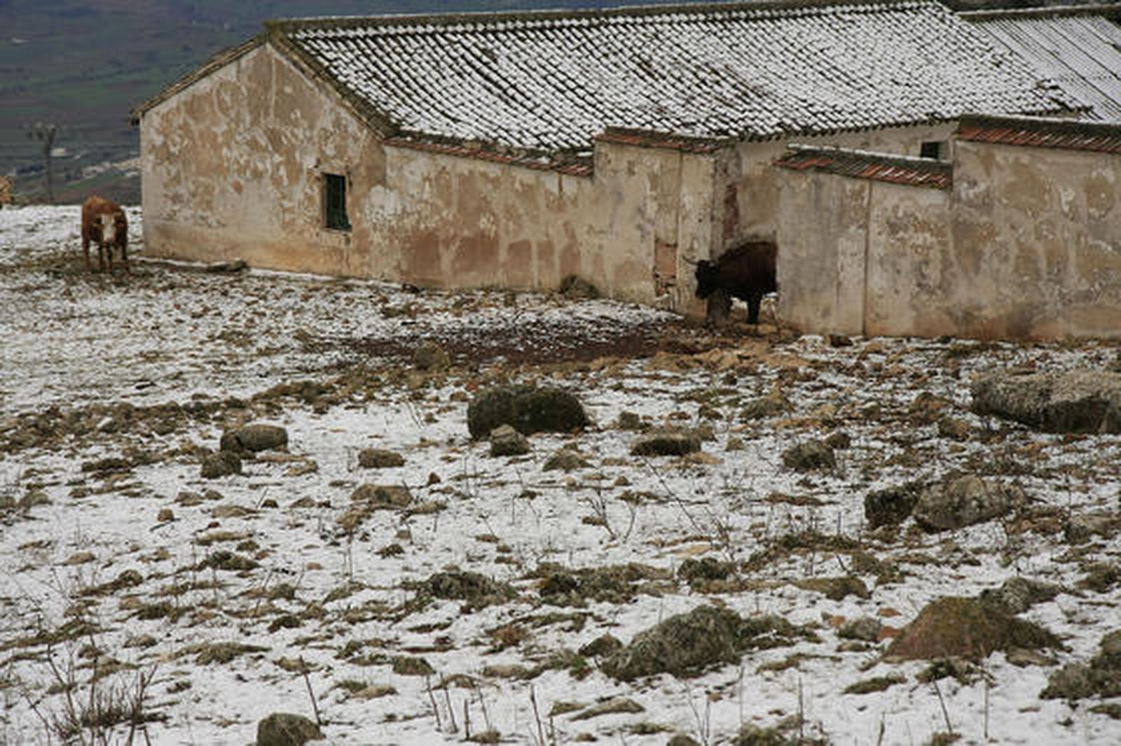 Imágenes del Torcal de Antequera, que presentaba un paisaje totalmente invernal. Los más pequeños disfrutaron de una jornada marcada por el descenso térmico.

Foto: Javier Flores