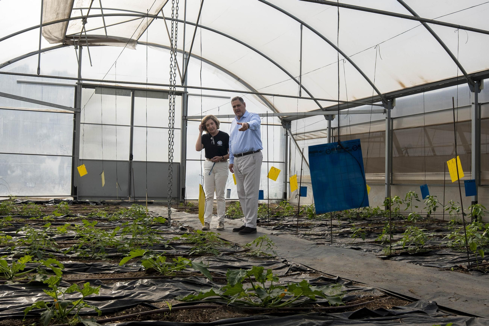 Visitamos el IES Sol de Portocarrero de La Cañada de San Urbano para ver las nuevas infraestructuras para FP en los centros educativos de la provincia de Almería, en imágenes