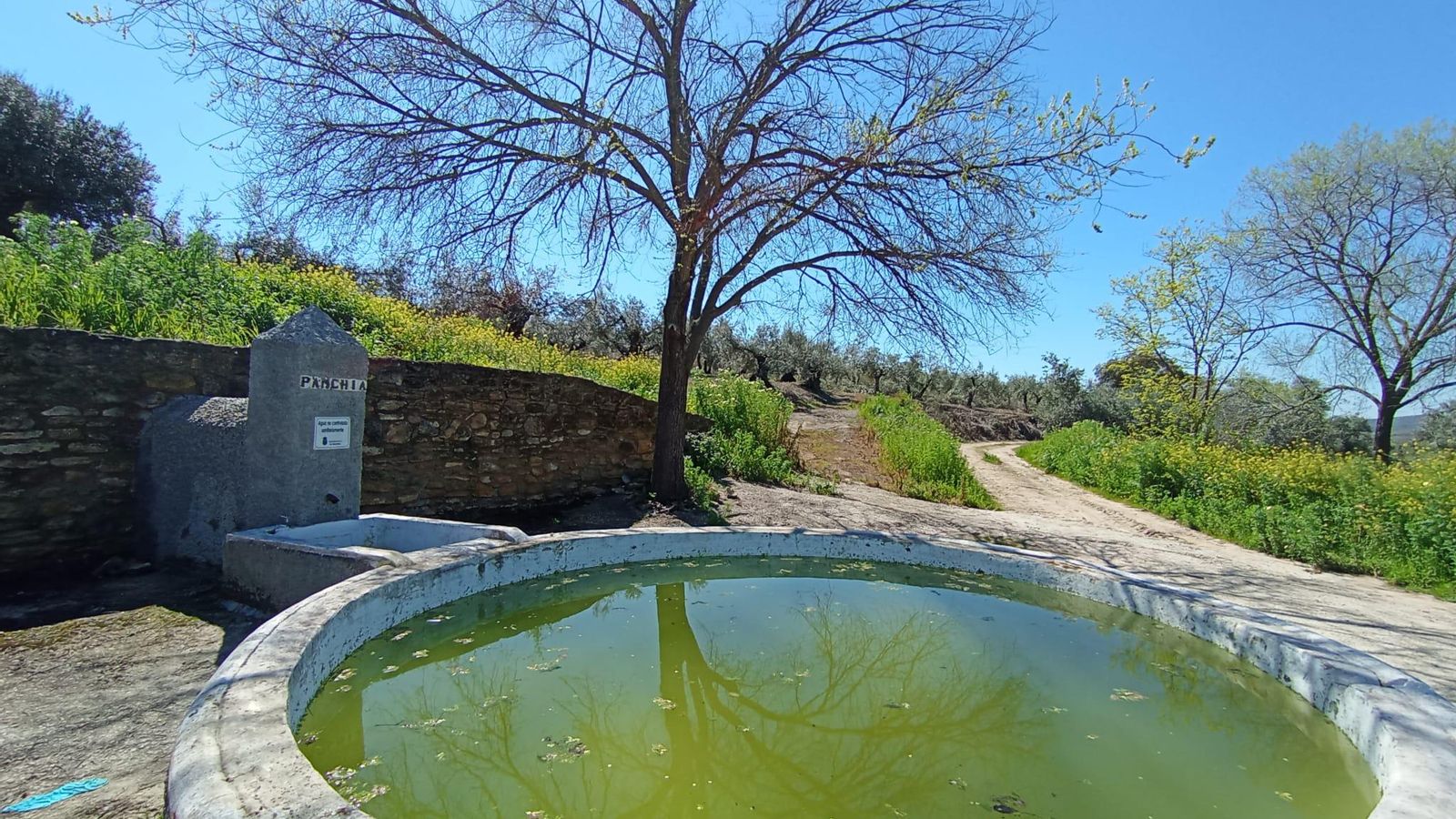 Pila de Panchía, en Montilla.