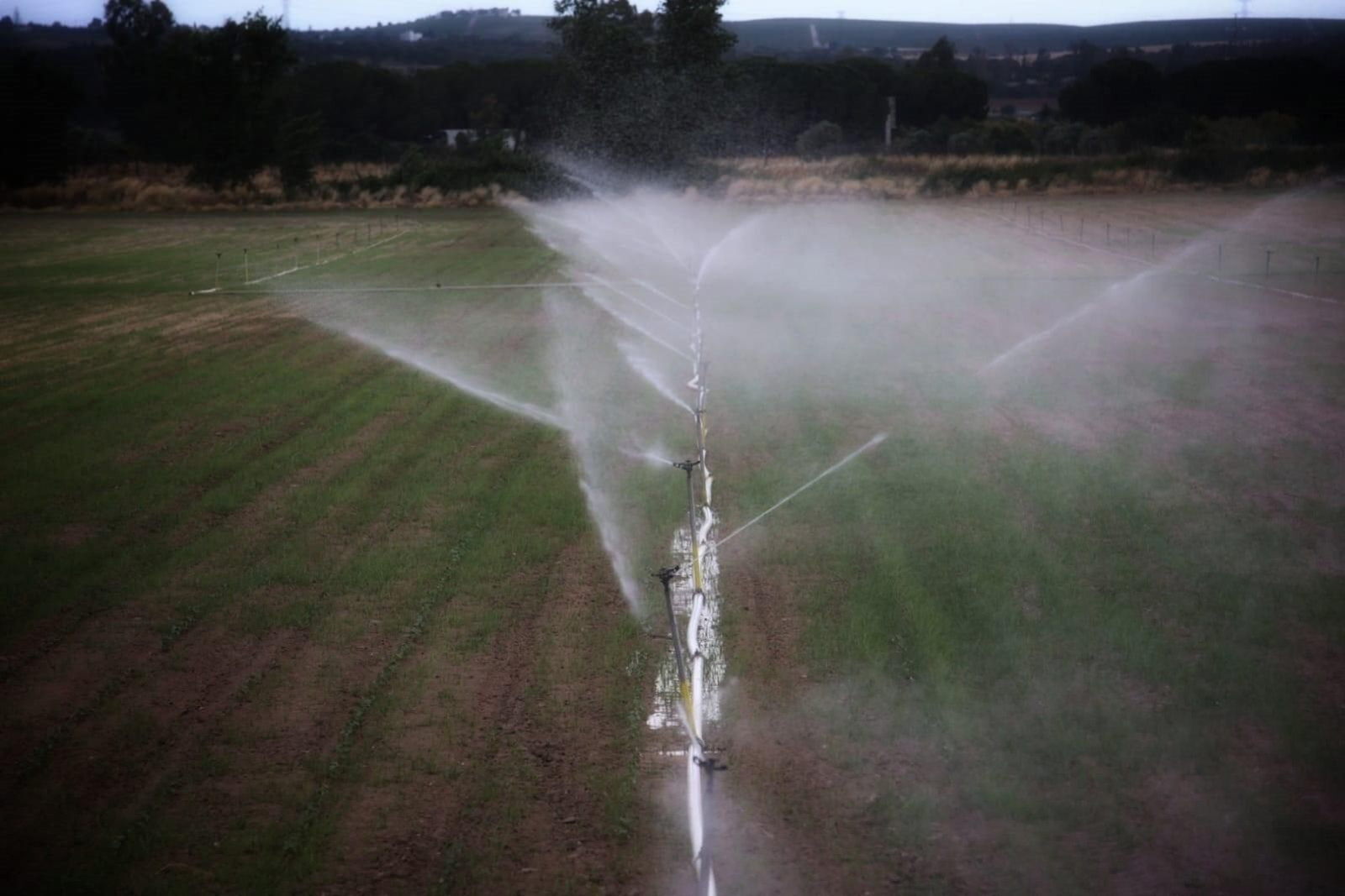 El Ayuntamiento de Jerez acuerda la aprobación del proyecto de Ordenanza de Sequía