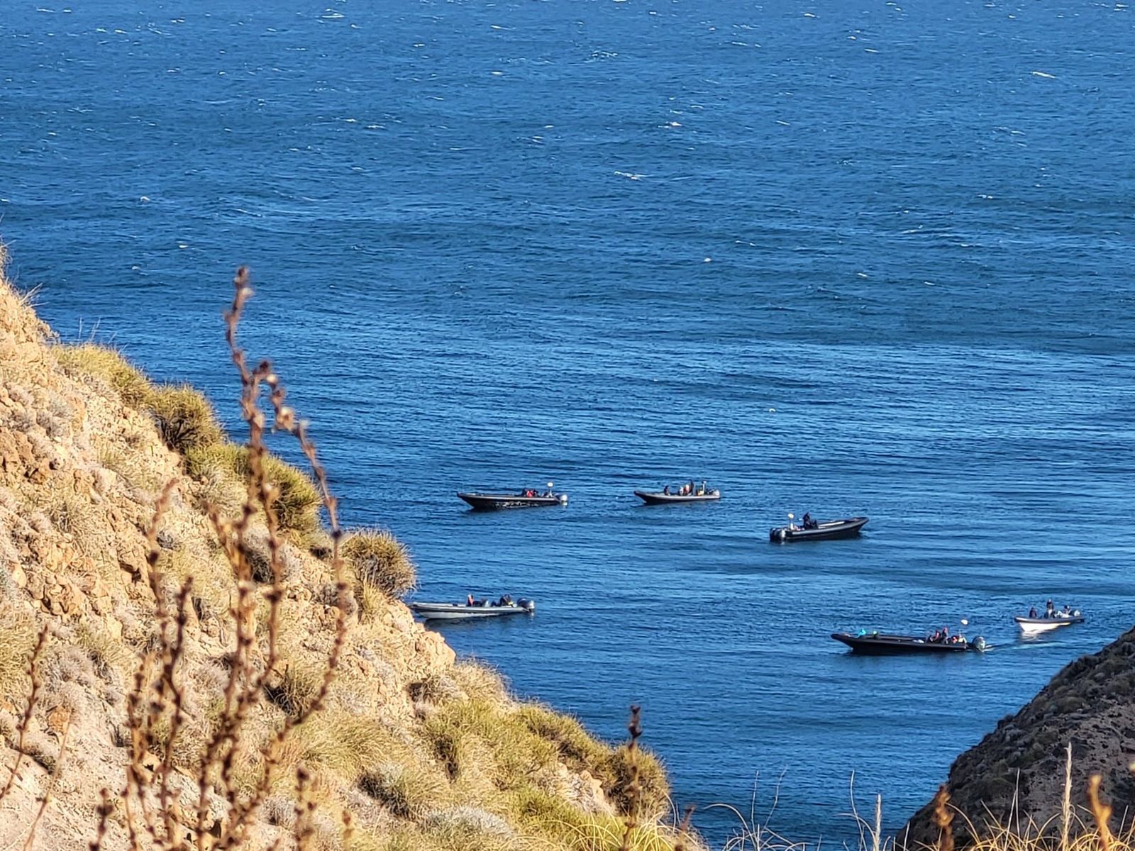 Narcolanchas en la costa almeriense.