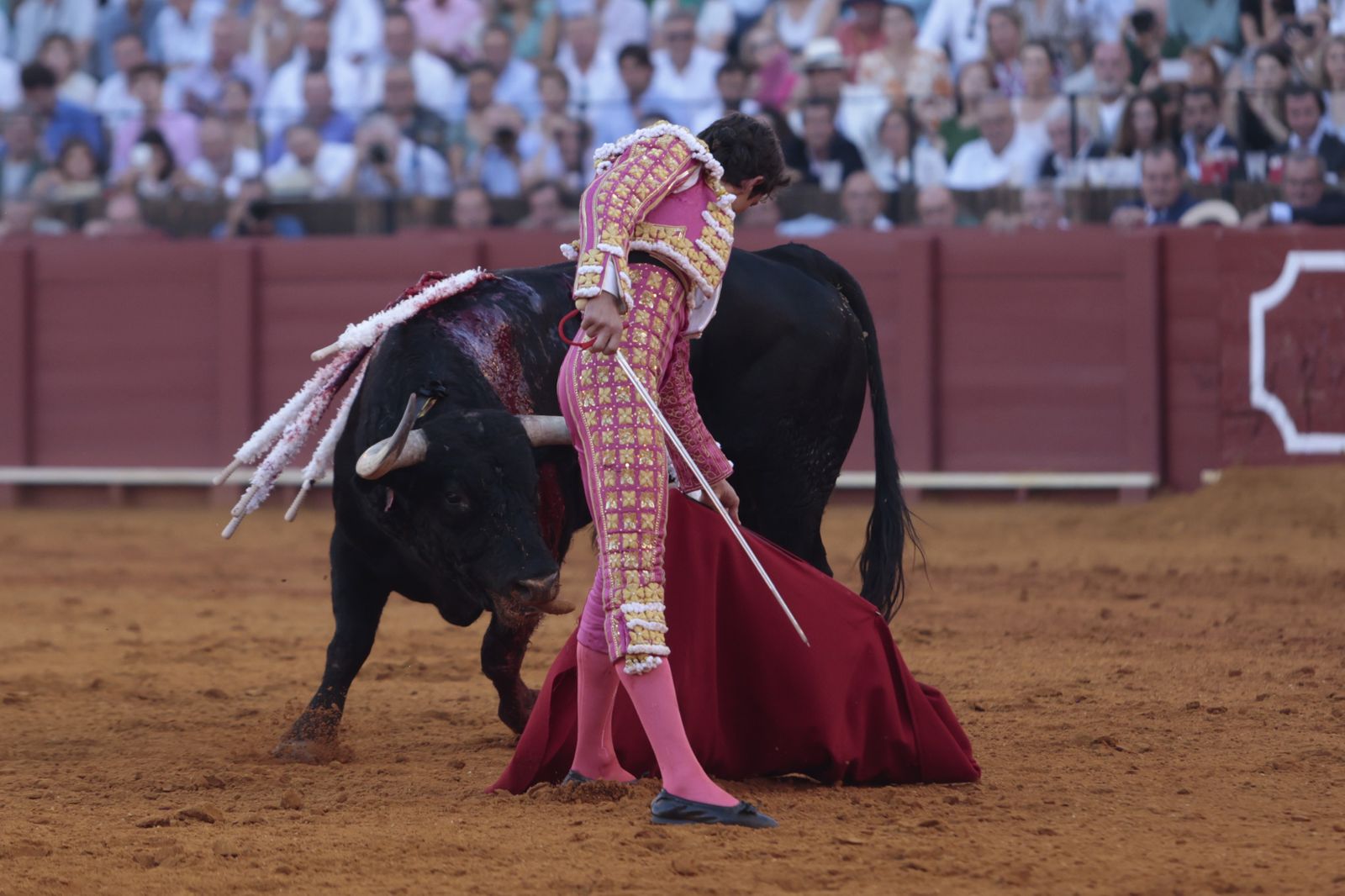 El triunfo de Castella en imágenes