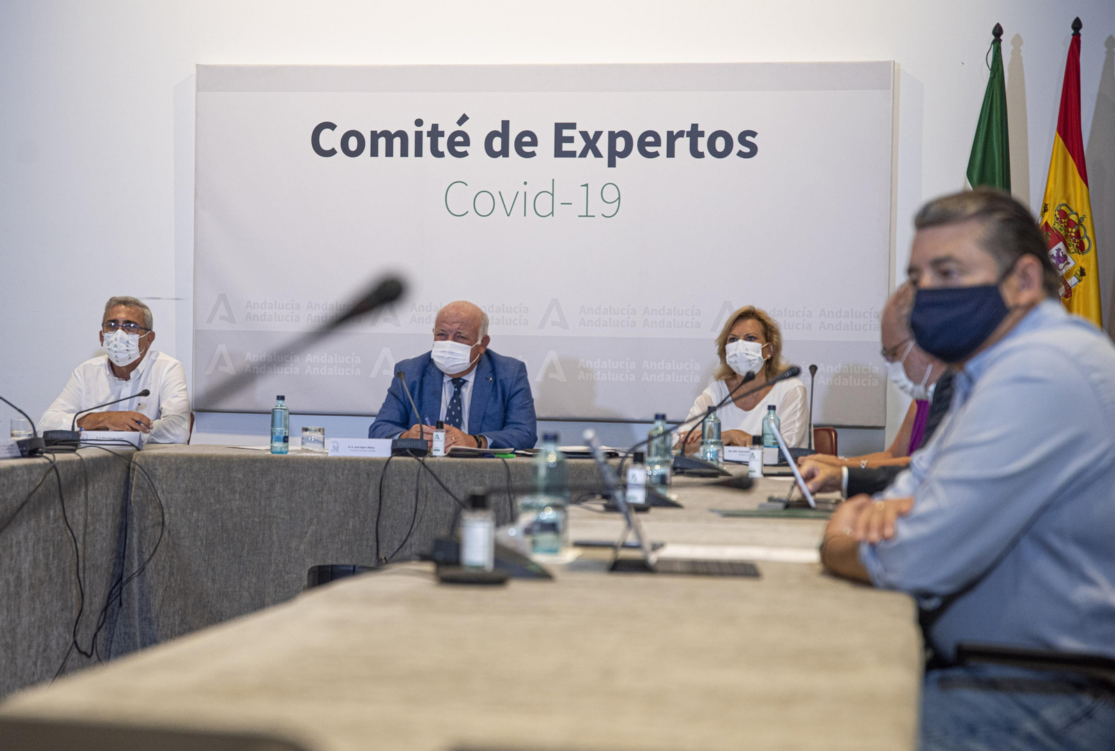 Jesús Aguirre, en la reunión del comité andaluz de expertos