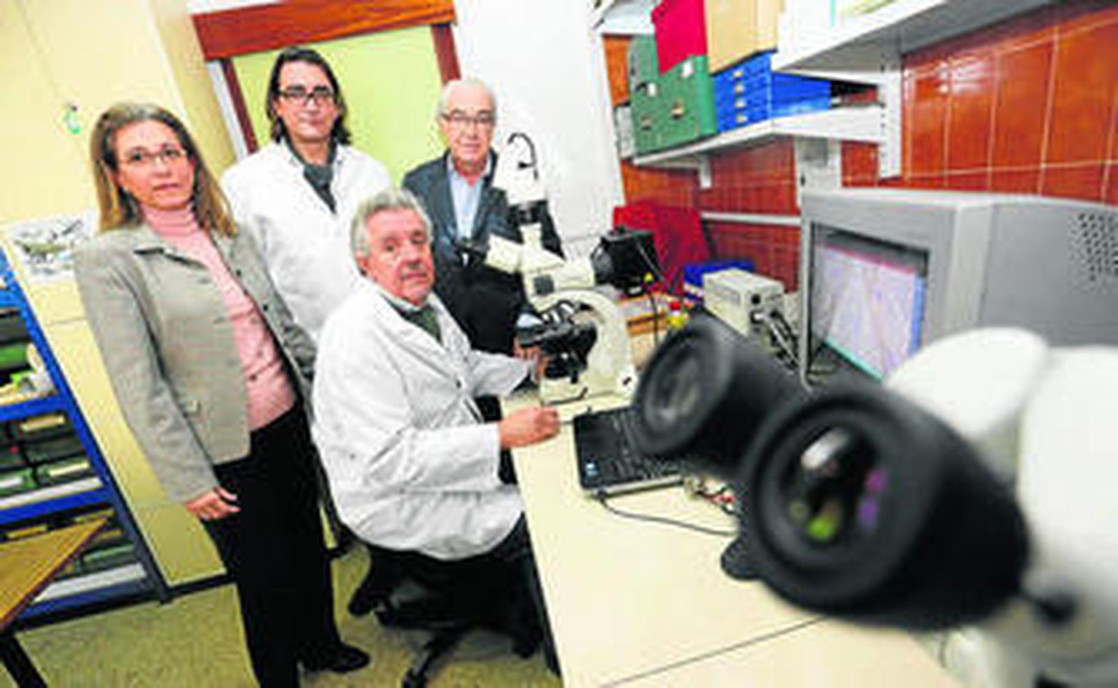 Dos ejemplares de hámsters usados por el grupo de investigación de Biología Animal de la UMA.