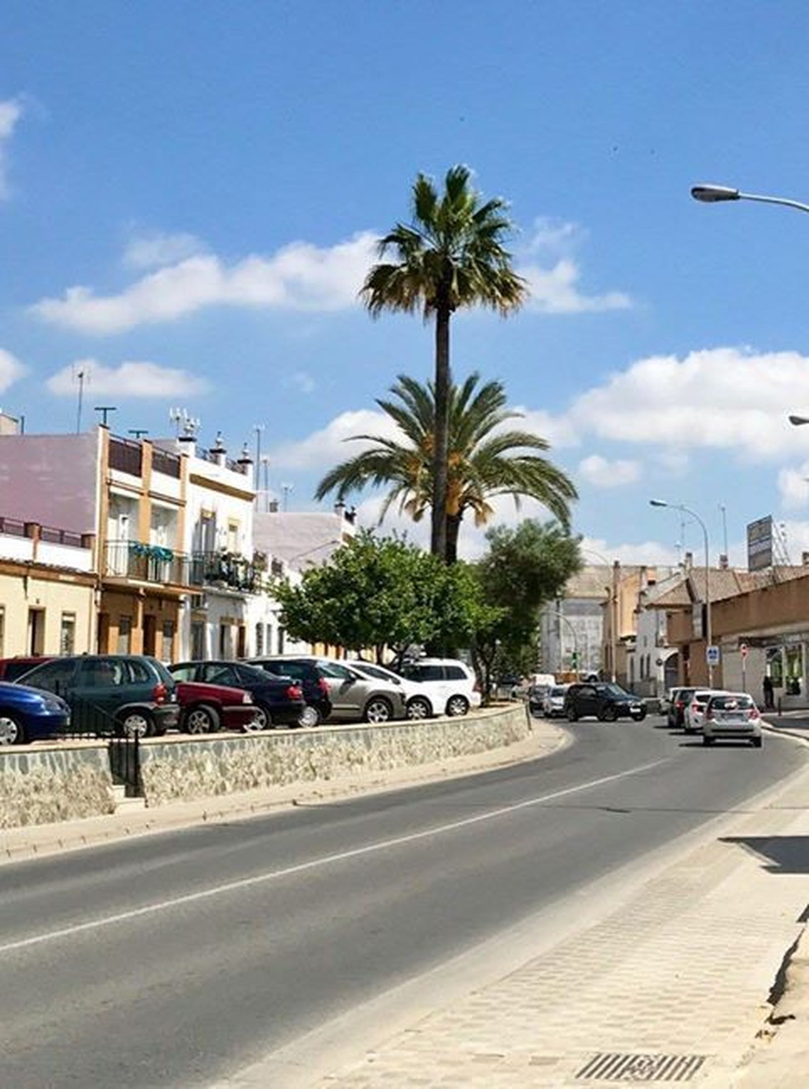 Imagen de la avenida Antonio Montero.