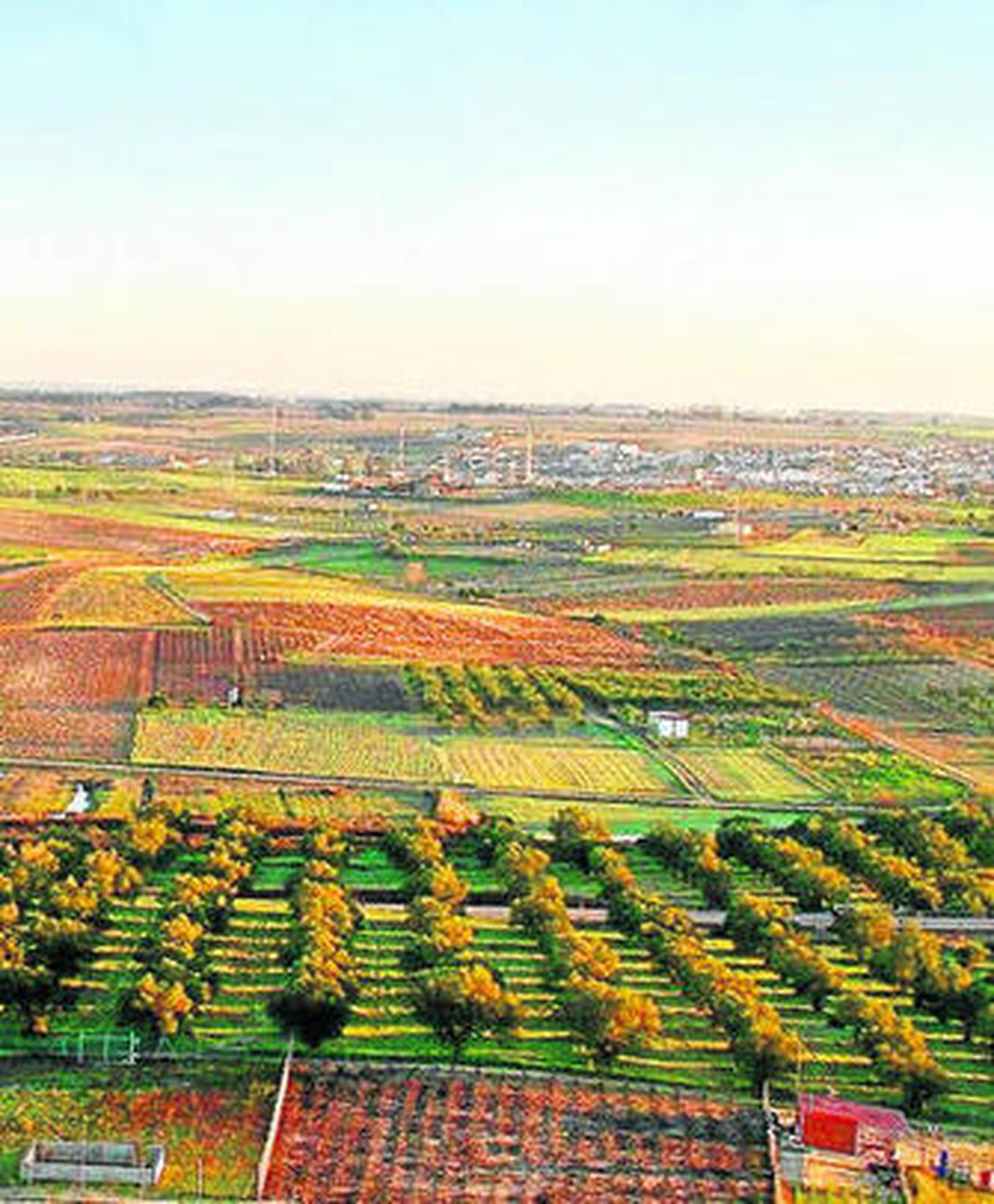 Zona del Condado investigada por los agentes y la Junta.