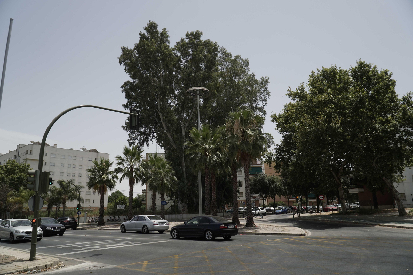 Arboleda en la entrada de la barriada de Tablada.